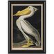Audubon Collection Group 20.75 X 14.75 inch Giclee, I-A
