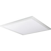 Flush Mounts