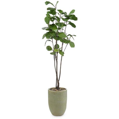 Tall & Slender Fiddle Leaf Fig Botanical, Lush Greenery