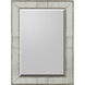 Callista 48 X 36 inch Gilded Silver Wall Mirror