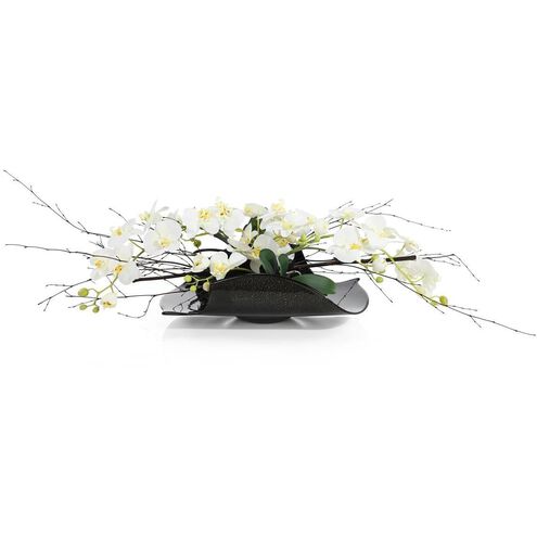 Midnight Delight Botanical/Floral