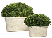 Artificial Flowers & Plants
