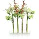 Changing Florals Botanical/Floral