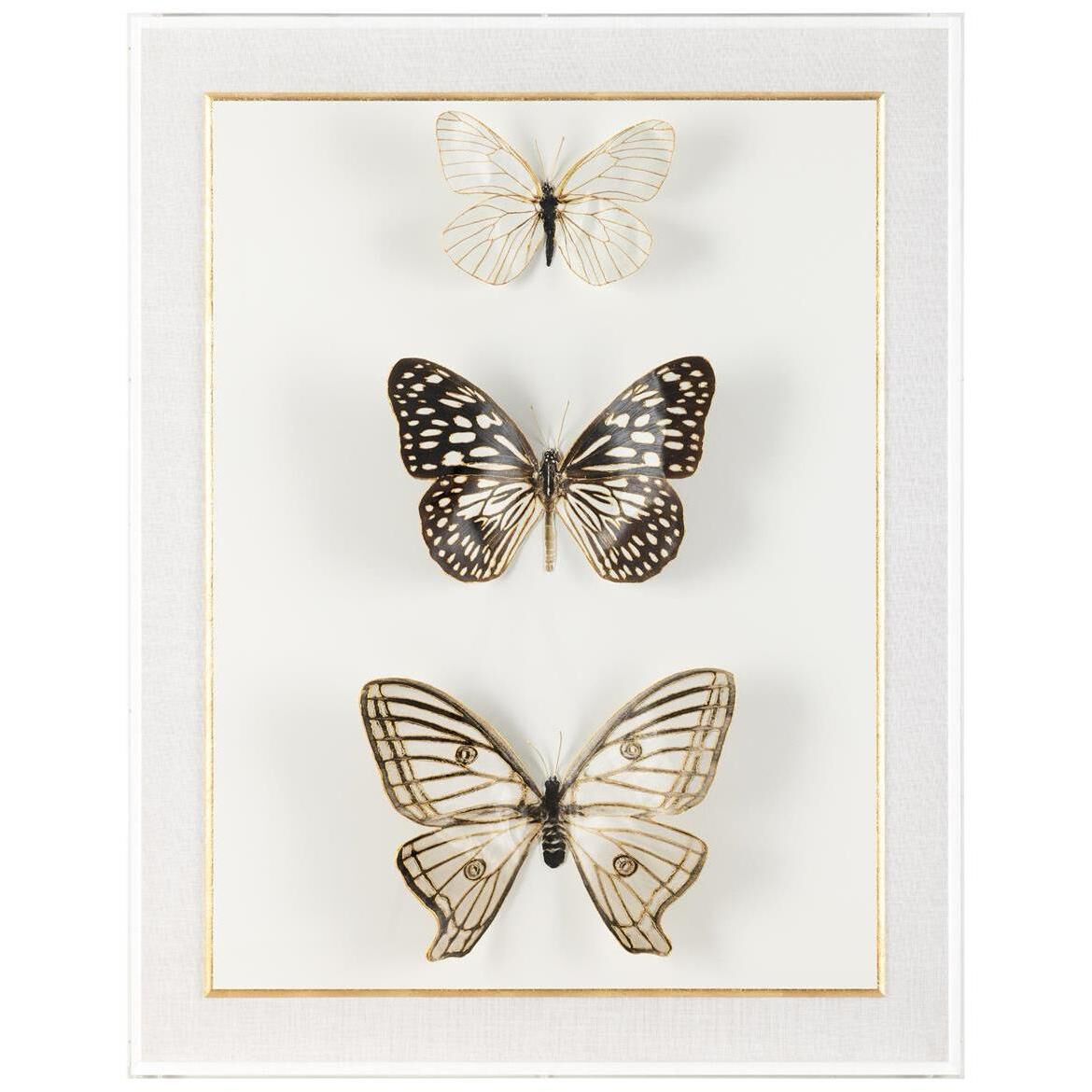 Echoes of Change 46.12 X 36.12 inch Giclee