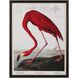 Audubon Collection Group 43 X 33 inch Giclee, IV-A