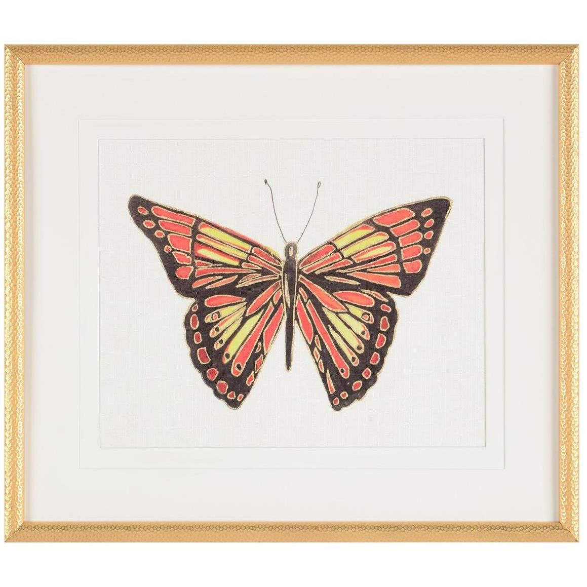 Beautiful Wings IV by Joy Colangelo Giclees, Animal