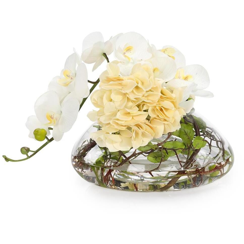 Golden Sun Hydrangeas Botanical/Floral