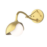 Wall Sconces