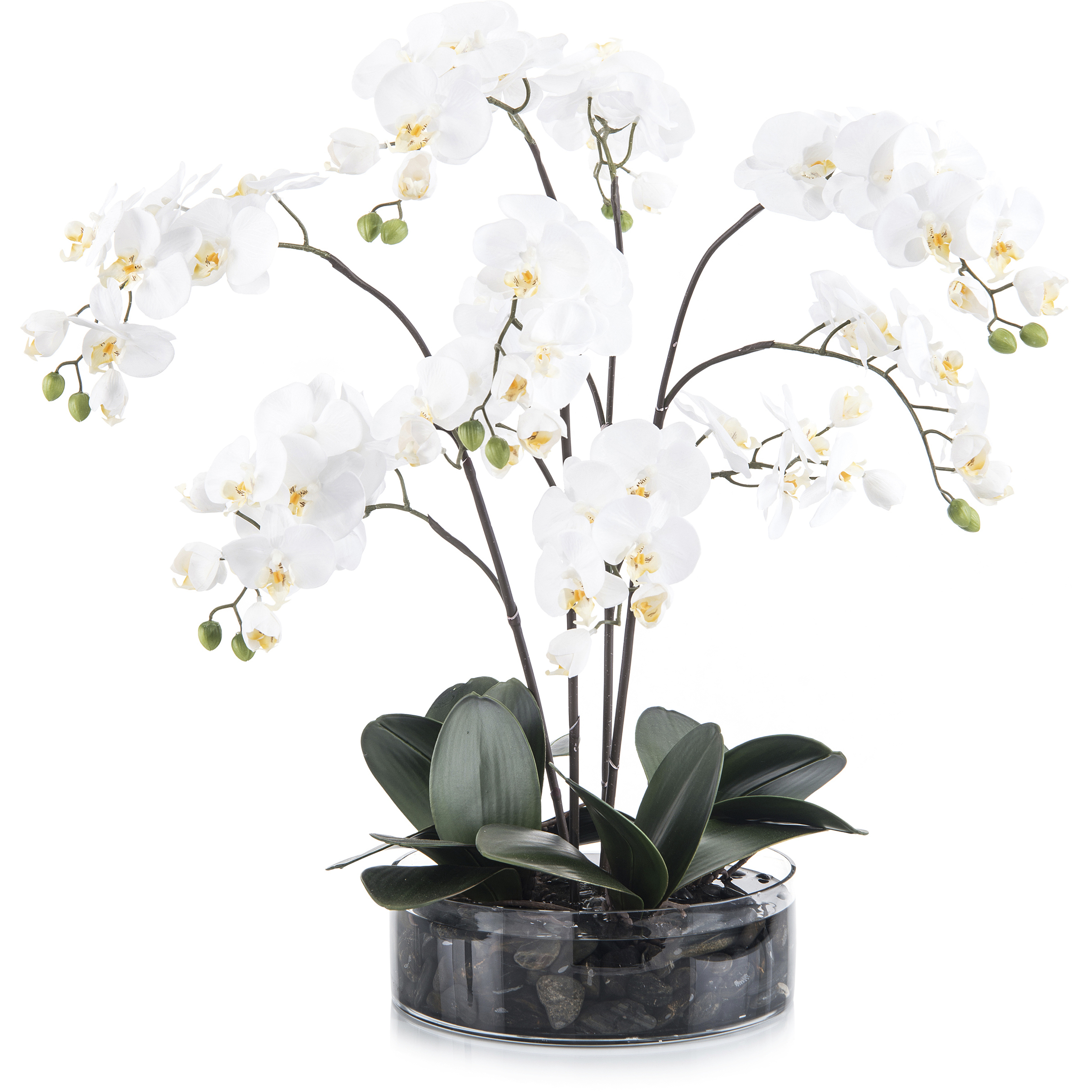 Midnight Decorative Flowers