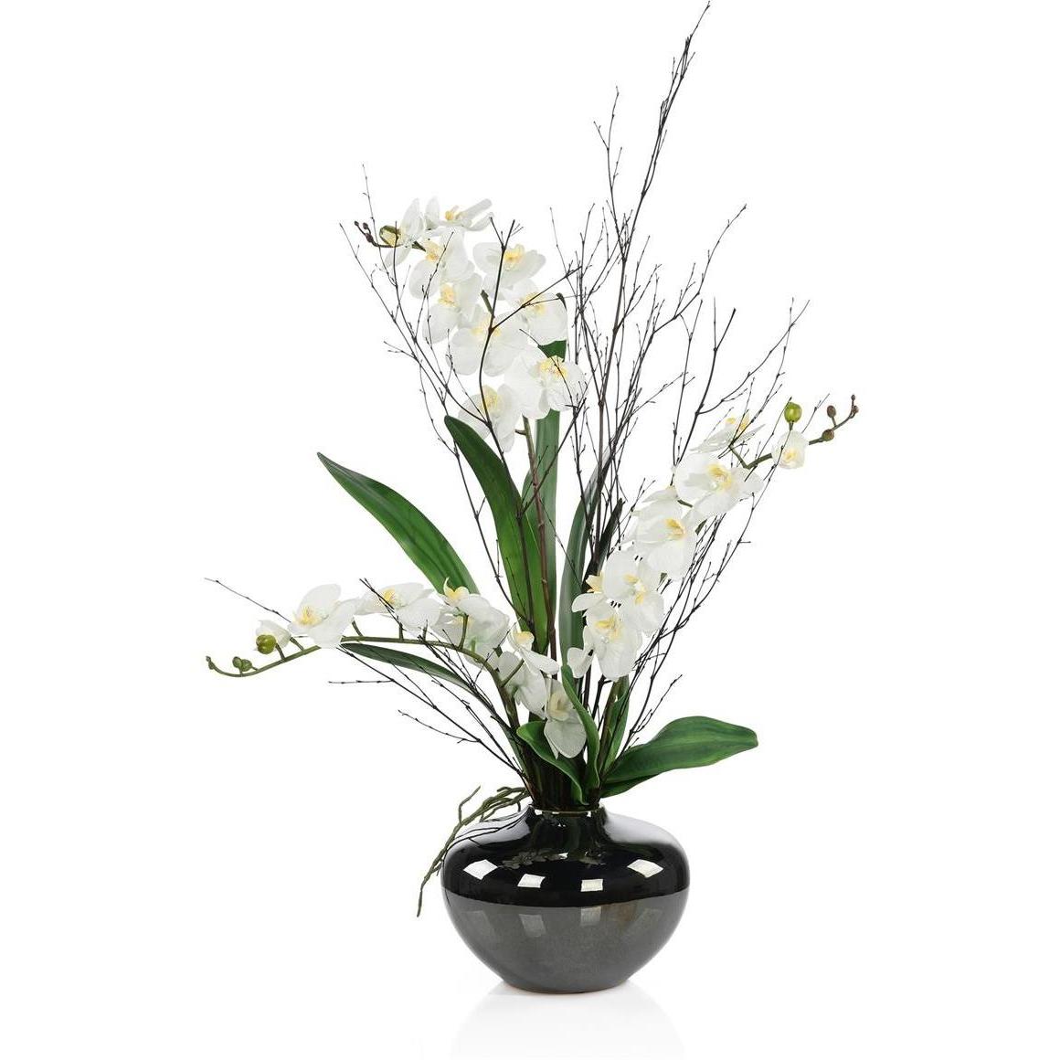 Black Bamboo & Orchids Botanical/Floral