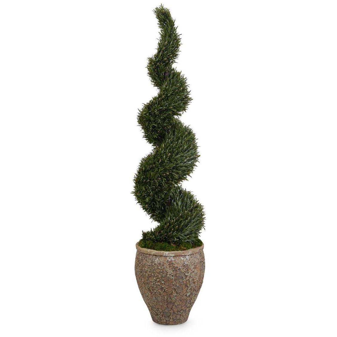 Garden Rosemary Spiral Botanical, Trees